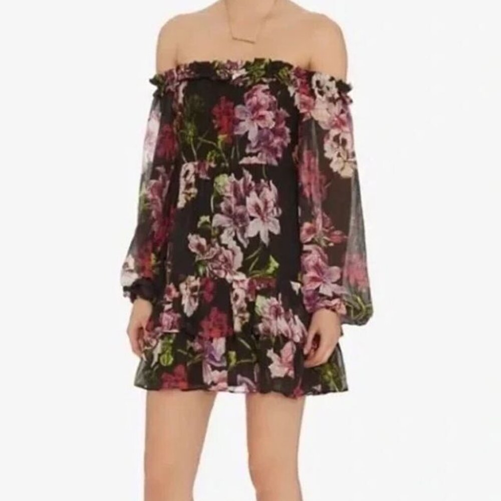 Intermix Knightly Floral Print Mini Dress
